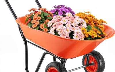 Test de la brouette de jardin VEVOR : capacité et robustesse au rendez-vous