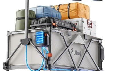 Test : litheli chariot électrique pliable tout-terrain