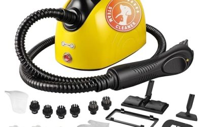 Test : waitbird nettoyeur vapeur multi-usages 21 piรจces