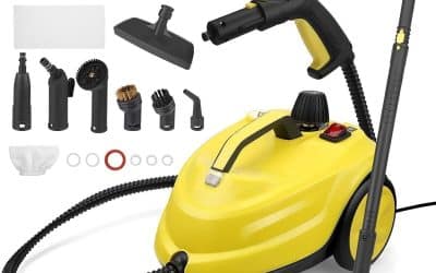Test : nettoyeur vapeur 2000W, professionnel et portable pour toute la maison